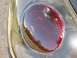 1999 Volkswagen Beetle - A close-up view of a vehicle's red taillight assembly.