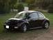 1999 Volkswagen Beetle - A black Volkswagen Beetle is parked outdoors on a grassy area with trees in the background.