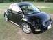 1999 Volkswagen Beetle - This black 1999 Volkswagen Beetle is parked on a grassy area with trees in the background.