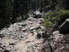 1991 Ford Bronco - A white 1990 Ford Bronco navigates a challenging, boulder-strewn path through a forest.