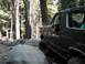 1991 Ford Bronco - A 1991 Ford Bronco navigates a challenging rocky path through a dense forest.