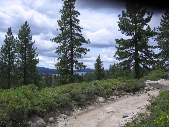 Dirt road winds through trees towards a distant lake under a cloudy sky