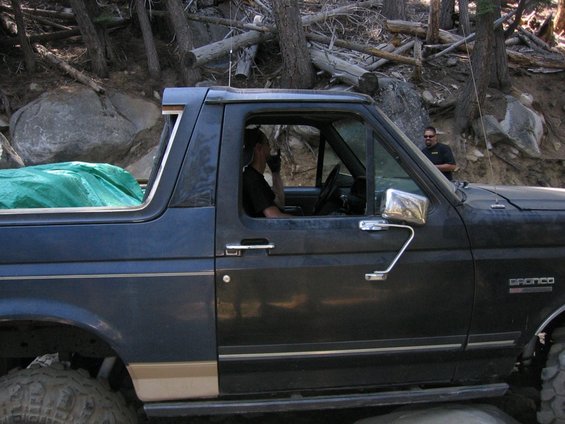 Side view of a dark blue Ford Bronco with a tan stripe, off-roading in a wooded area. Driver is visible inside