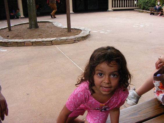 picture-111.jpg 