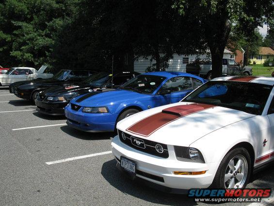 Several Ford Mustangs parked in a lot, including a white one with red stripes and a blue one with black stripes