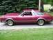 1979 Ford Thunderbird - A side view of a maroon coupe with a distinctive silver T-top roof and gold wire wheels.