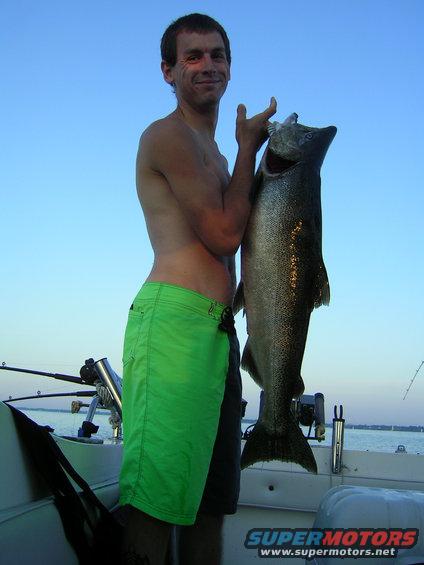 salmon-trip-aug-09-031.jpg 
