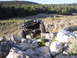 1984 Ford Bronco II - Modified 1984 Ford Bronco II navigating a rocky trail.