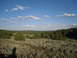 1984 Ford Bronco II - A wide view of a dry, brushy landscape under a bright blue sky with scattered clouds.