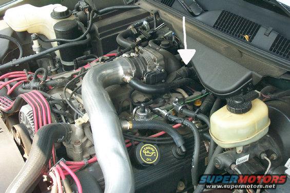 dcp_3242.jpg Close-up TB