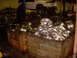 DSCN2054.JPG