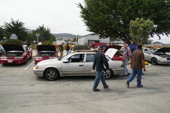 dsc05456.jpg 