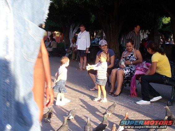 Children and adults in a park with pigeons on the ground