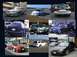 1998 Ford Taurus - Collage of bulls... some from the Japan club...