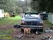 1992 Ford Bronco photo