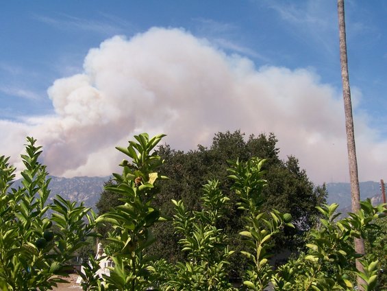 Smoke plume rises from mountains under a blue sky with clouds, foreground shows green foliage