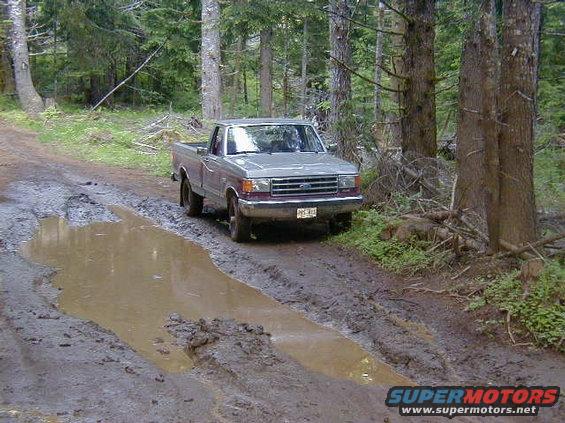alvey__mud2.jpg Ken almost didn't make it.  Jeff's jeep didn't make it.  I'm going around.