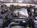 1999 Toyota Tacoma photo
