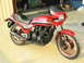 1981 Kawasaki Bayou - check out the fancy Ebay seat