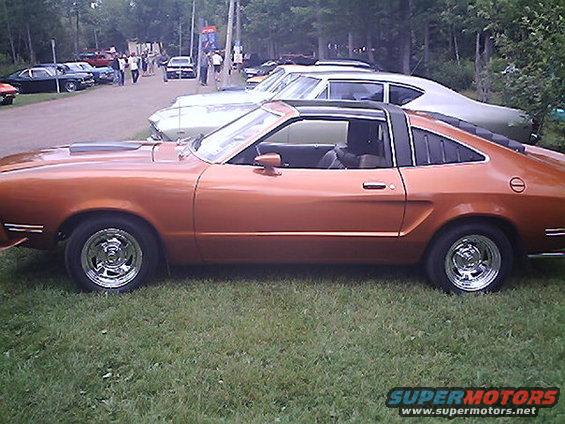 orange coupe with black t-top parked on grass, other cars in background