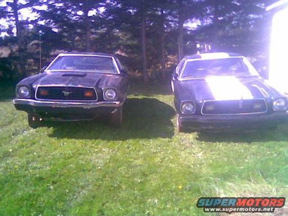 Two 1978 Ford Mustang IIs parked on grass, front view