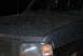 1995 Ford Bronco - Mud covers the hood and front fender of a 1995 Ford Bronco.