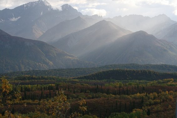 Mountain range with misty peaks and a forest in the foreground