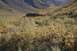 1990 Chevrolet Suburban - A scenic view of a mountain valley during autumn, with a stream flowing through dense, colorful brush.