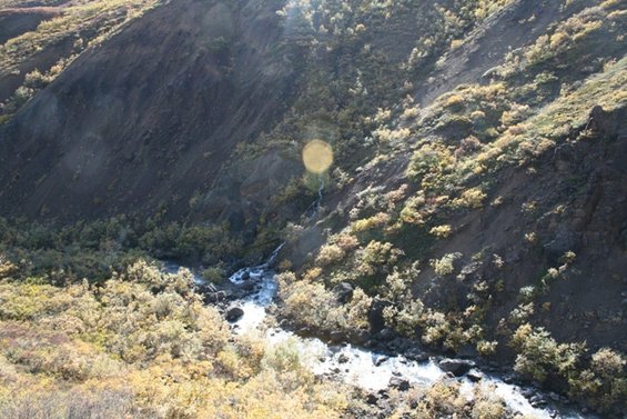 Mountain landscape with a stream flowing through autumn foliage