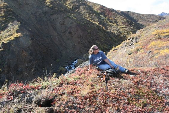 Woman in a blue t-shirt and jeans sits on a rocky, brush-covered hillside overlooking a valley with a stream