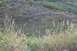 1990 Chevrolet Suburban - A natural scene a lake, hillside, and tall grasses in the foreground.