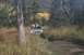 1990 Chevrolet Suburban - A silver Chevrolet Suburban navigates a wooded trail with autumn foliage in the background.