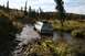 1990 Chevrolet Suburban - A gray 1990 Chevrolet Suburban navigates a muddy stream on an off-road trail.