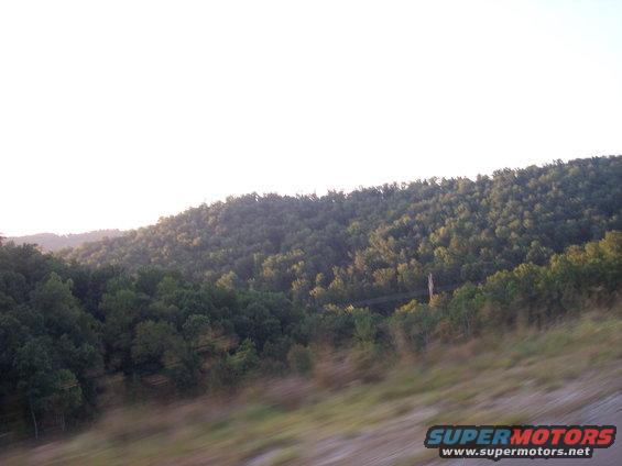 Wooded hillside with a bright sky and a dirt road