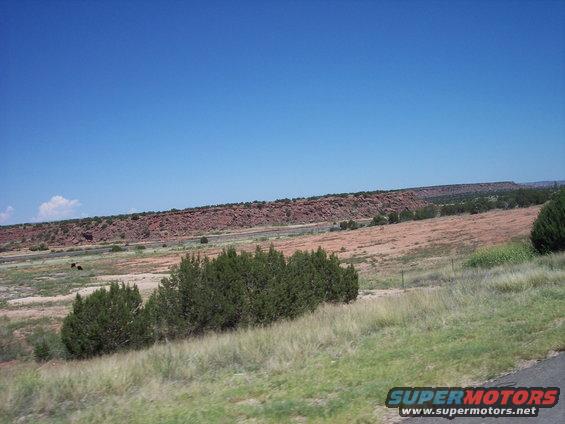 Desert landscape with red rock mesas under a clear blue sky. Foreground shows dry grass and green bushes
