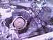 1998 Ford Crown Victoria - 4r70w bottom stud broken converter