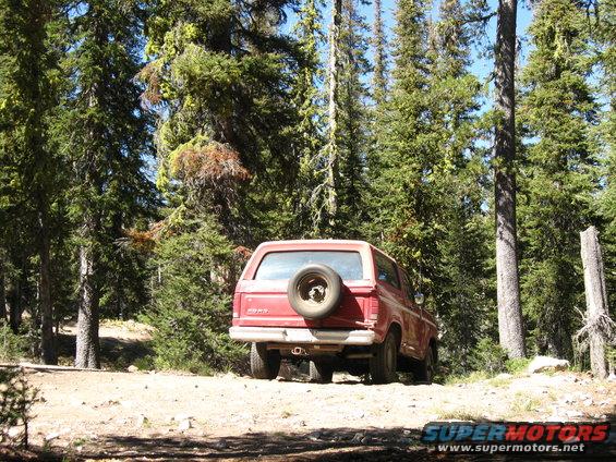 Red SUV with spare tire on rear door parked on dirt road in forest
