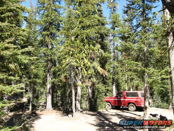 Red Ford Bronco parked in a forest clearing, side view