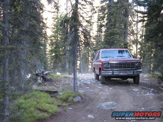 Red SUV driving on a dirt road through a forest
