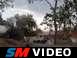f250 going up trail backward and into a tree
