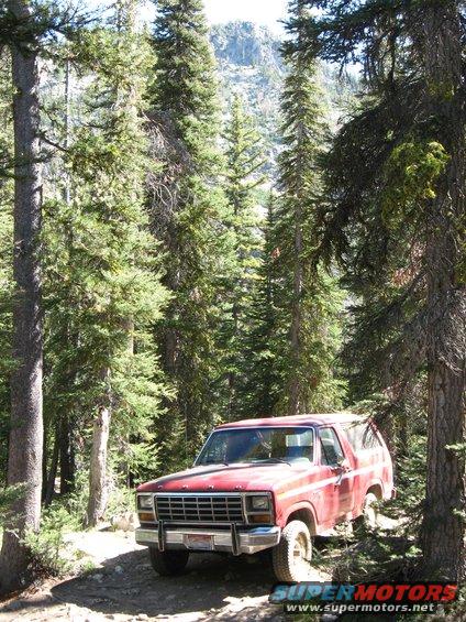 img_1529.jpg A view of the Bronco in the trees. 
