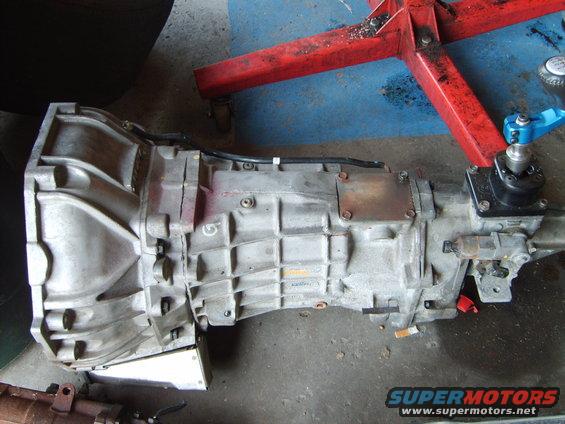 svtvic-013.jpg 