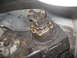 1978 Ford Bronco - NP205 Transfercase