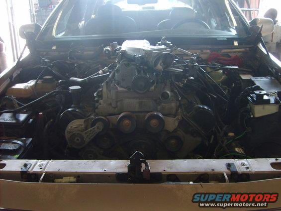 svtvic-017.jpg 