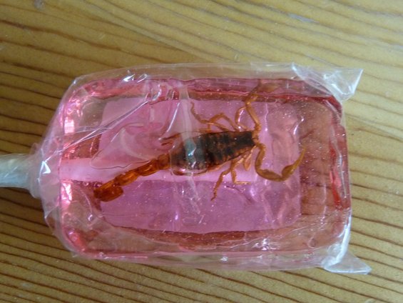 p1010075.jpg Scorpion sucker from www.hotlix.com