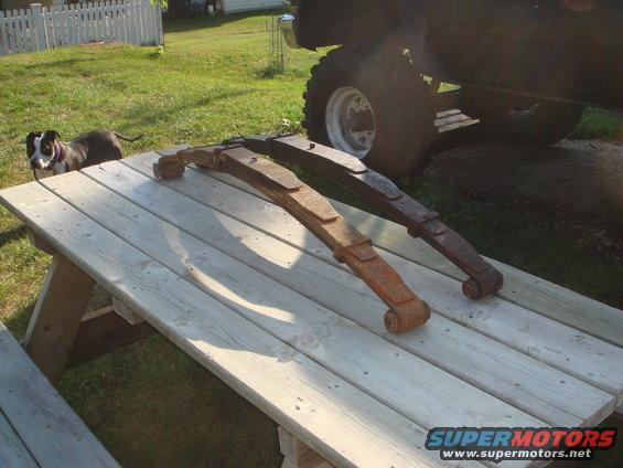 two leaf springs on a picnic table, dog in background