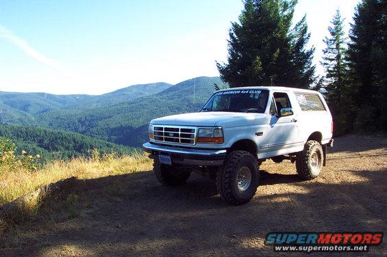 dcp_0184.jpg Pacific Northwest Bronco.  Feeling Right at Home on Top of Back to Back in Tillamook State Forest, OR<br>(8/18/2002)