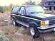 1989 Ford Bronco - This 1989 Ford Bronco is parked outdoors in a dry, brushy area.
