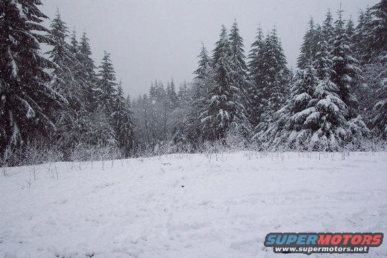 dcp_0270.jpg Snowing Hard in TSF.
(2/17/2003) 