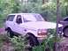 1995 Ford Bronco